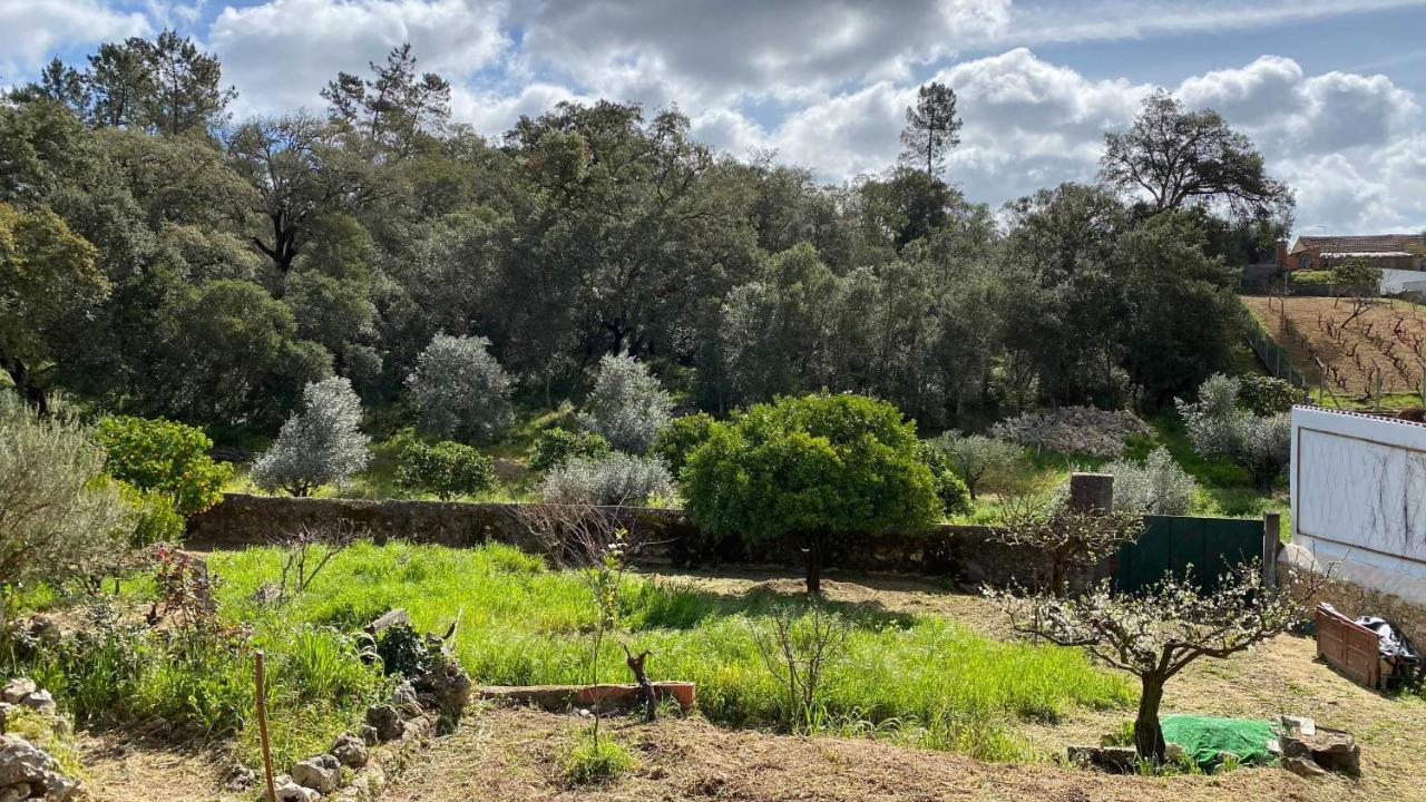 Casalinho In Portugal Country House Tomar Exterior foto